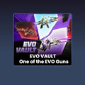 شحن EVO Vault أحد أسلحة EVO فري فاير سريع وآمن عبر UID